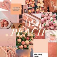 ...peachy_aesthetics