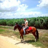 gabriesarmientooficial