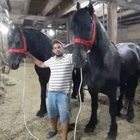 paulpaulet220