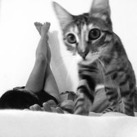 claecita