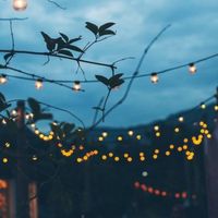 sunnyflowers10