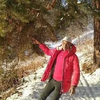 original sound - hussinmohammad01