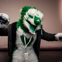 sergal_raiin