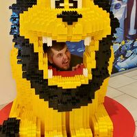 ARE YOU CHALLENGING ME