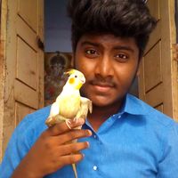 birds_lub_vishnu