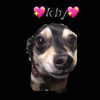 x..tobythemixedbreed..x