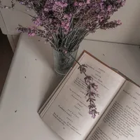 original sound - enda_lover_