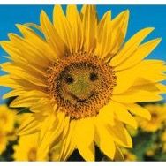 _s_a_t_i_s_f_y_i_n_g_