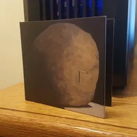 Libets Delay by The Caretaker