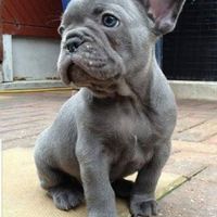 user151631660