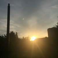 звуки видеостар