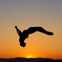 backflip._