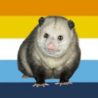 snuffydoesstuff