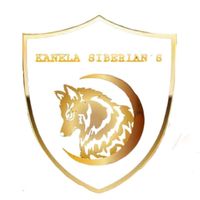 kanela_siberians