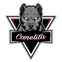 canelitajs_music