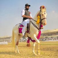 usman.wattoo72