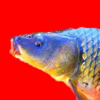 original sound - vadikrubalka