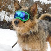 max.aussiemix