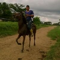 israelsaavedra.24