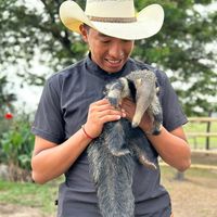llano_alegre