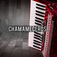 original sound - chamameceros