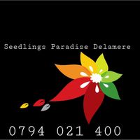 seedlingsparadise2