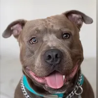 Bañaron a un inocente