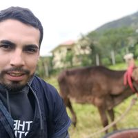 juanlucero.vet