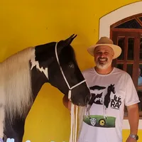 original sound - harasportonobre