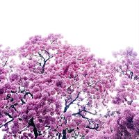 sparkydust_