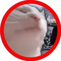 Sugar System of a Down