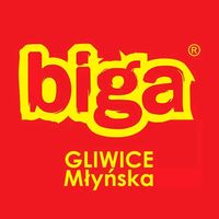 bigagliwice_mlynska