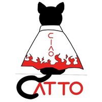 ciao_catto