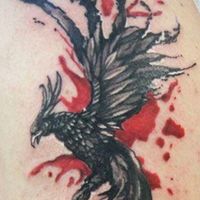 darkknight_phoenixrising