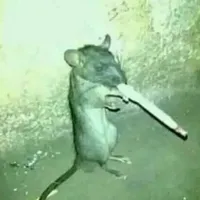 original sound - speedy_soundz9