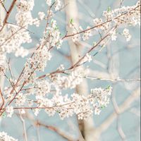 cute_wallpapers3216