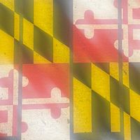 _we_them_maryland_boyz