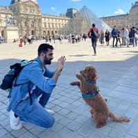 panchinfrance