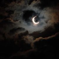 lunalunar137