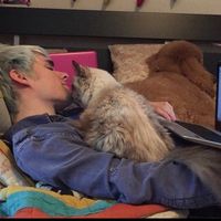 alexismadeatiktokalright