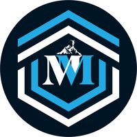 original sound - Motive Mindset