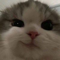 pinkcci