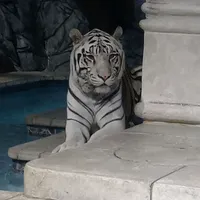 original sound - mayrani_alexandra27