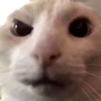 inkiesap