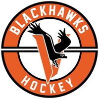 viroquagirlshshockey