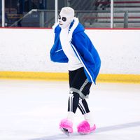 thecosplayskater