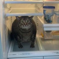 needed me by rihanna