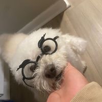 josepoststuff12