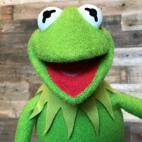 approvedbykermit