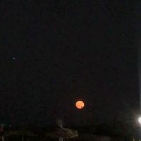 everything works out in the end